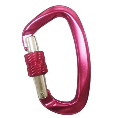 अच्छा दाम Galvanized Hardware Aerospace Aluminum D-Shaped Carabiner Essential Gear for Climbing ऑनलाइन