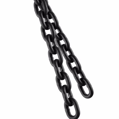 अच्छा दाम Professional Lifting Chain for Safe and Precise Weight Lifting Applications ऑनलाइन