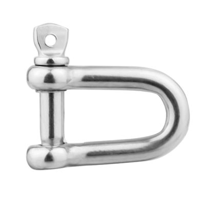 अच्छा दाम General Industry Stainless Steel Chain Lifting D Shackle 304L 316L Rigging Hardware ऑनलाइन
